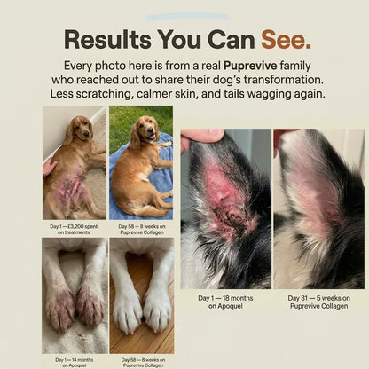 Puprevive Advanced Liquid Collagen