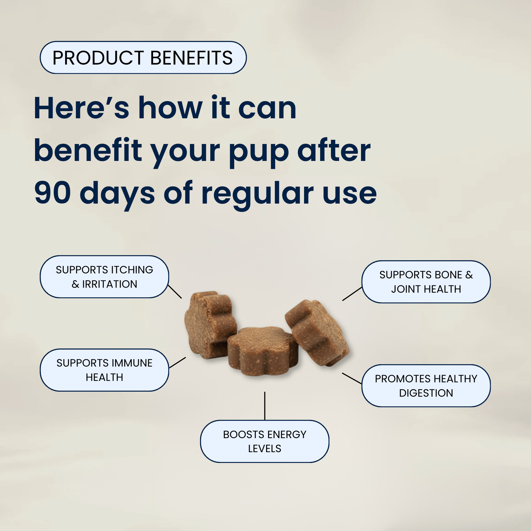 Advanced Skin & Itch Support Multivitamin Chews
